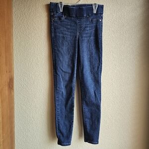 Liverpool Los Angeles The Ankle Skinny Jeans 4/27